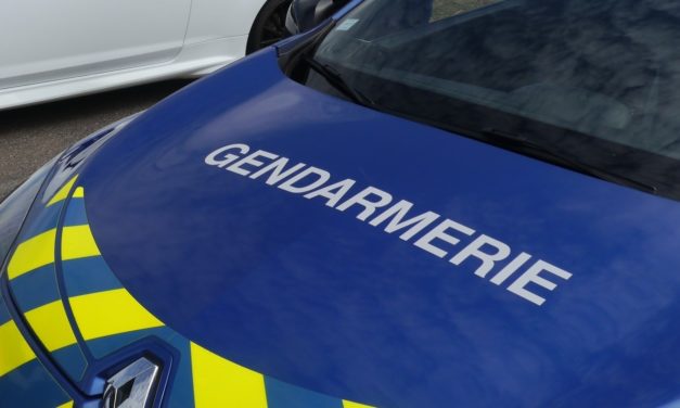 La démarche de résolution de problèmes en gendarmerie