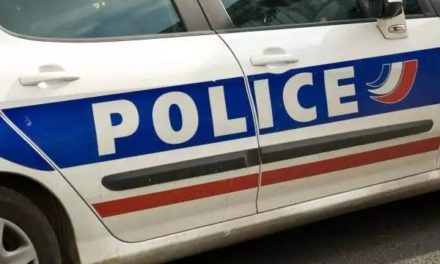 Fonctionnement et dysfonctionnements de la police