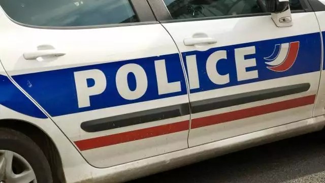 Fonctionnement et dysfonctionnements de la police